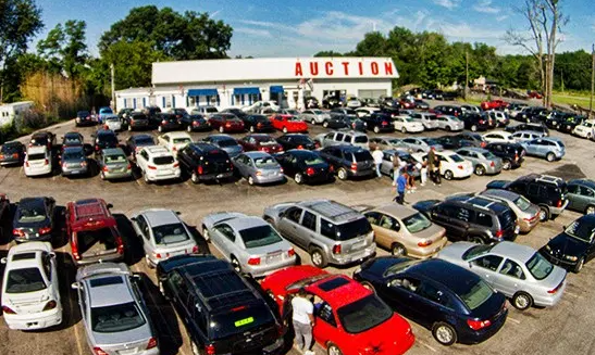 CheapCarfaxReport Image